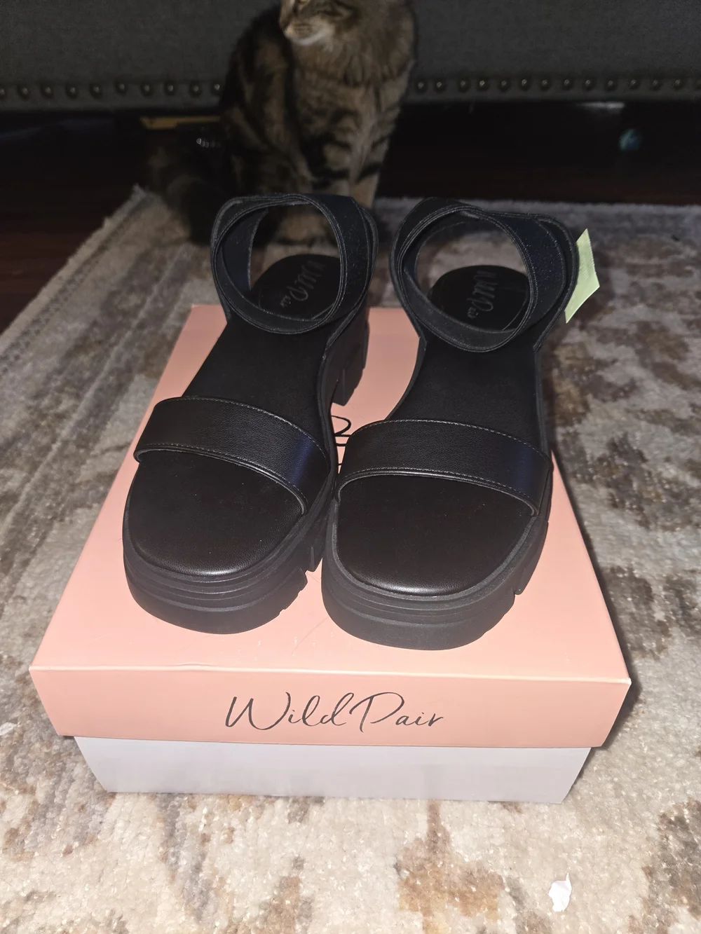 Women's Black Chunky Ankle-Strap Sandal